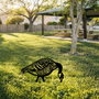 Aberto Design Goose 02 Decoración de Exterior Negra